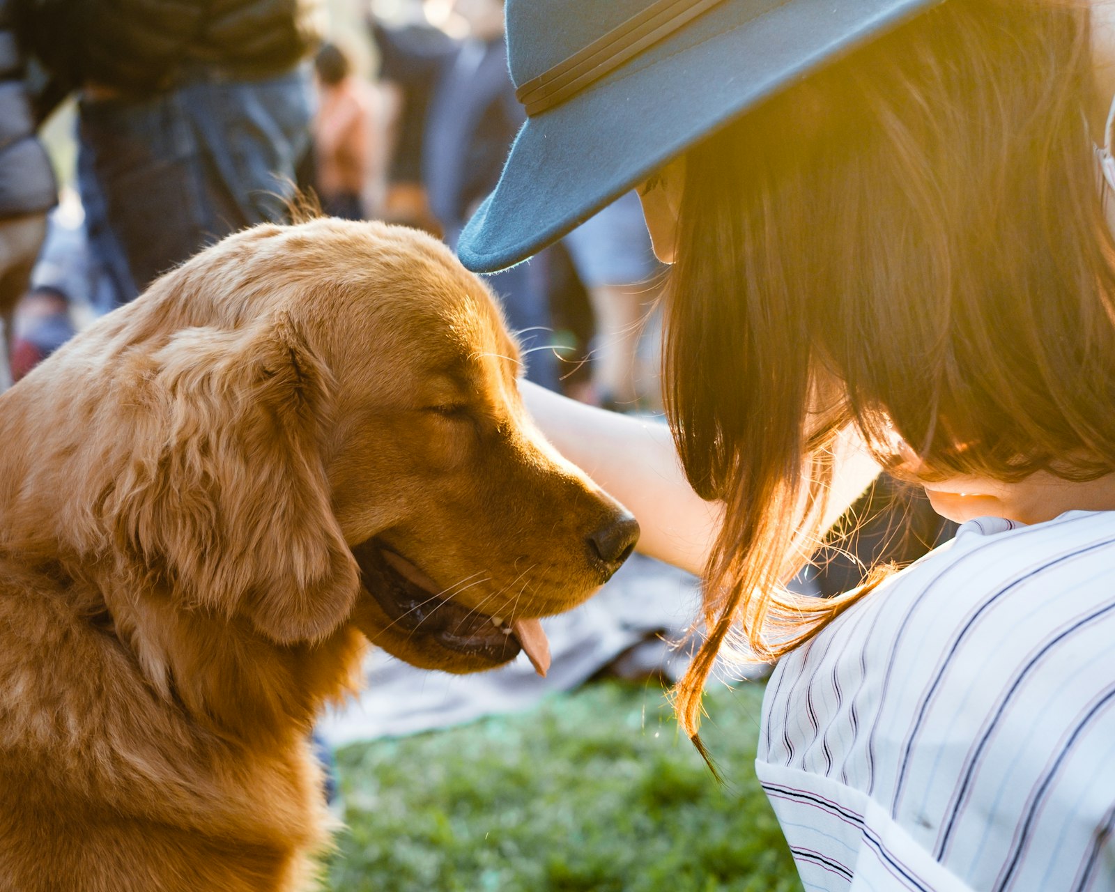 Chien doré câliné tendrement par sa famille